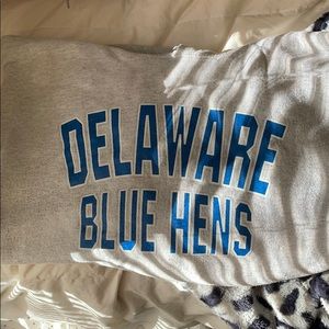 University of Delaware Hoodie